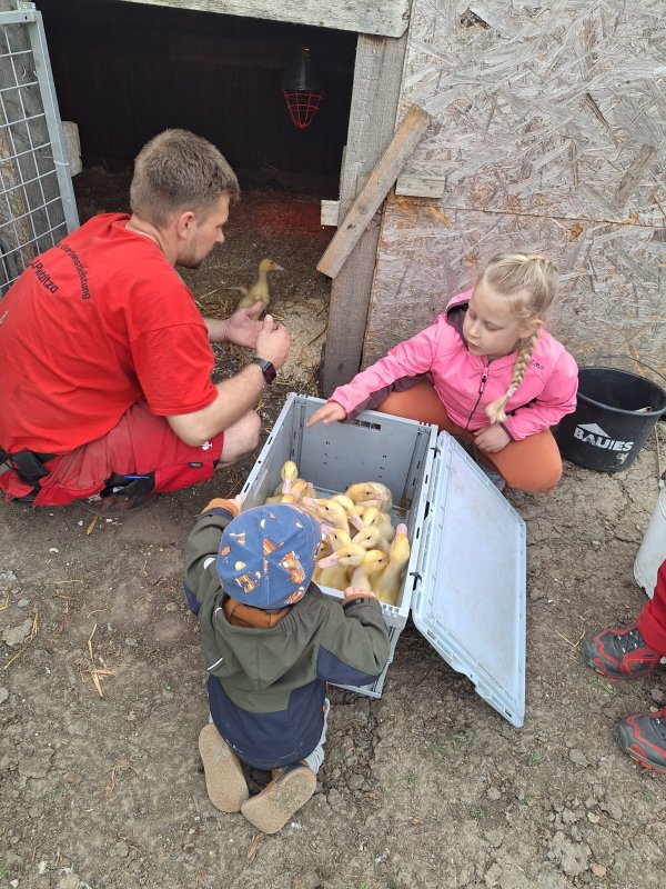 Weihnachten steht vor der Tür